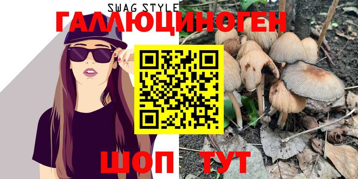 Псилоцибиновые грибы Magic Shrooms  Вход с VPN  Анапа  Псилоцибиновые грибы Psilocybine cubensis 